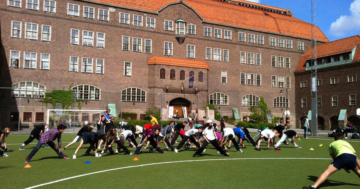 École alsacienne Études européennes Éducation Physique et Sportive